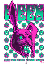 Load image into Gallery viewer, Ween in Chicago March 20th 'White Rabbidt' poster